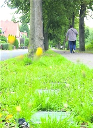 Presseartikel über das Forum Glas Bad Münder